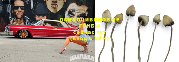 молекула духа Магадан